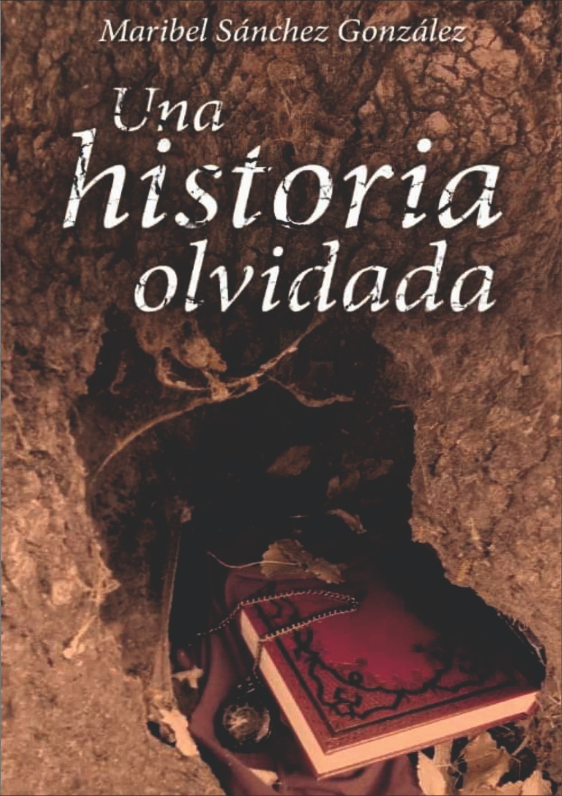 Portada de Una historia olvidada, de Maribel Sánchez González